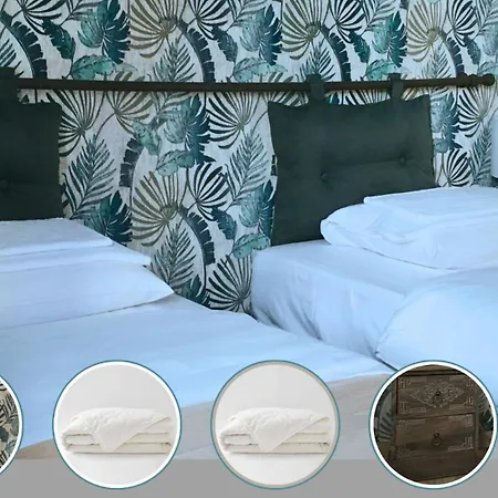 Serenite Au Centre N 4 * Lourdes